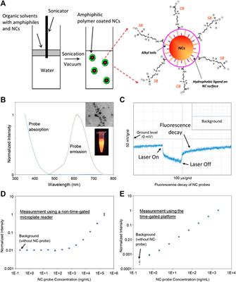 A Highly Sensitive Time-Gated Fluorescence Immunoassay Platform Using Mn-Doped AgZnInS/ZnS Nanocrystals as Signal Transducers